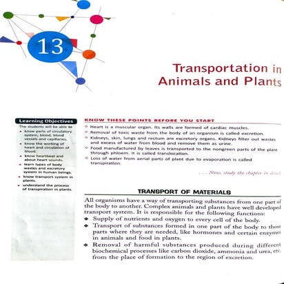 Class 7 Chapter 13 Transportation