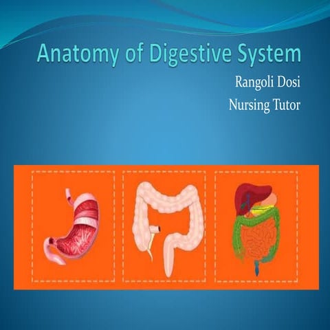 DIGESTIVE SYSTEM anatomy and physiology of Bsc nursing pdf/pptx 