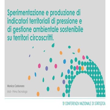 Monica Carbonara, Sperimentazione e produzione di indicatori territoriali di ...