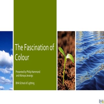 ILP Durham CPD: The Fascination of Colour