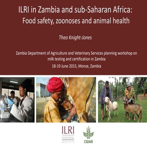 ILRI in Zambia and sub-Saharan Africa: Food safety, zoonoses and animal health