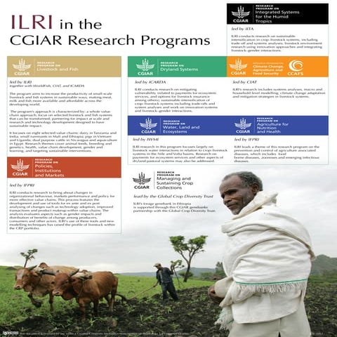 ILRI in the CGIAR Research Programs