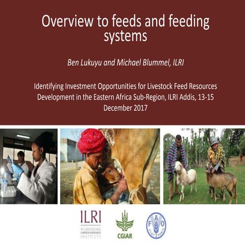 Overview to feeds and feeding systems 