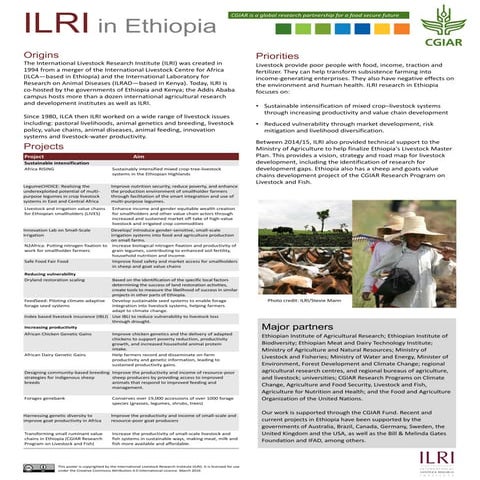 ILRI in Ethiopia 