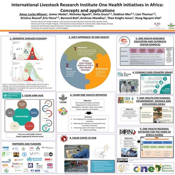 International Livestock Research Institute One Health initiatives in Africa: ...