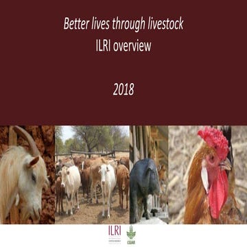 Better lives through livestock: ILRI overview