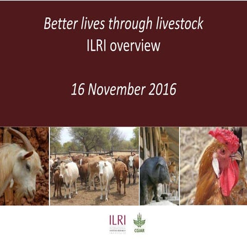 Better lives through livestock: ILRI overview