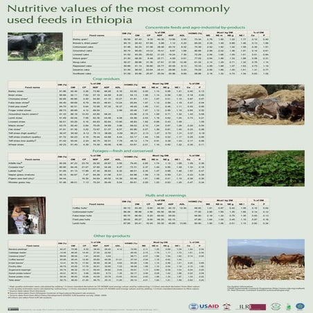 Nutritive values of the most commonly used feeds in Ethiopia