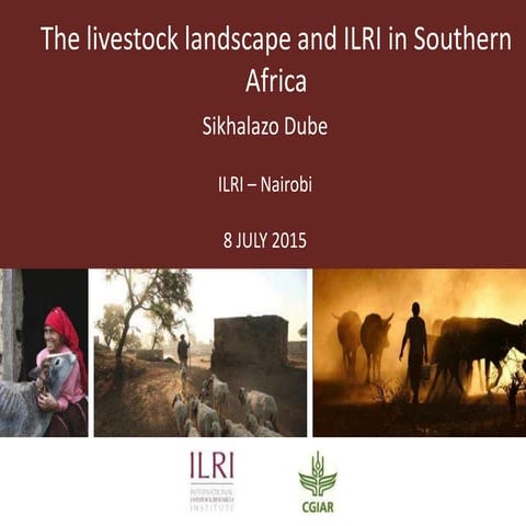 The livestock landscape and ILRI in Southern Africa