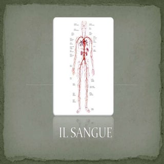 Il sangue