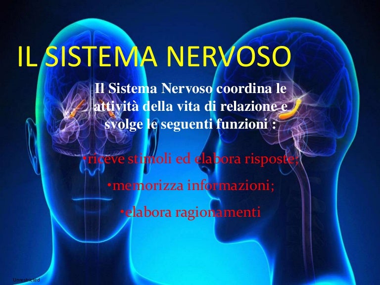 Il sistema nervoso le droge e l' alcol