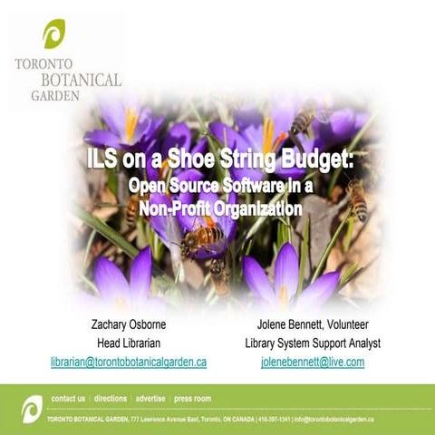 Ils on a shoe string budget