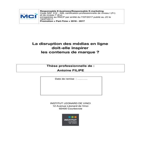 Thèse professionnelle MBA Marketing et Commerce sur Internet