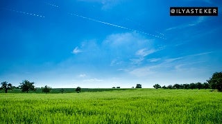 Türkiye Pazarı için Bugüne Kadar Yapılmış "En Kapsamlı" Teknik SEO Analizinden Neler Öğrendik?