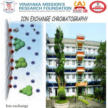 ION EXCHANGE CHROMATOGRAPHY  BY G.K.Saranvijay.pptx