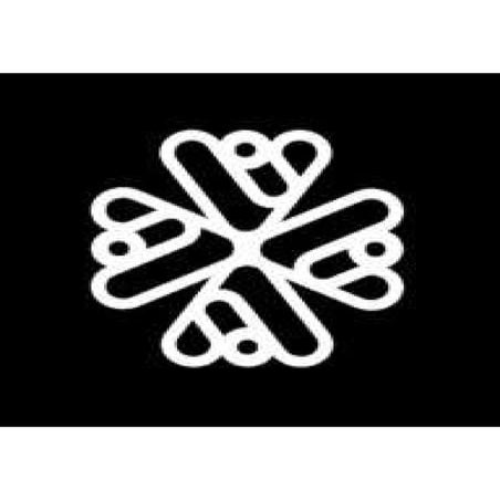 AyeSoul - AI Search, Answer & Tasks Engine