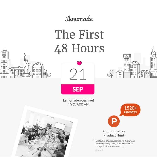Lemonade Insurance The First 48 Hours PDF