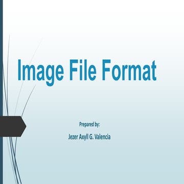 Image File Fomat