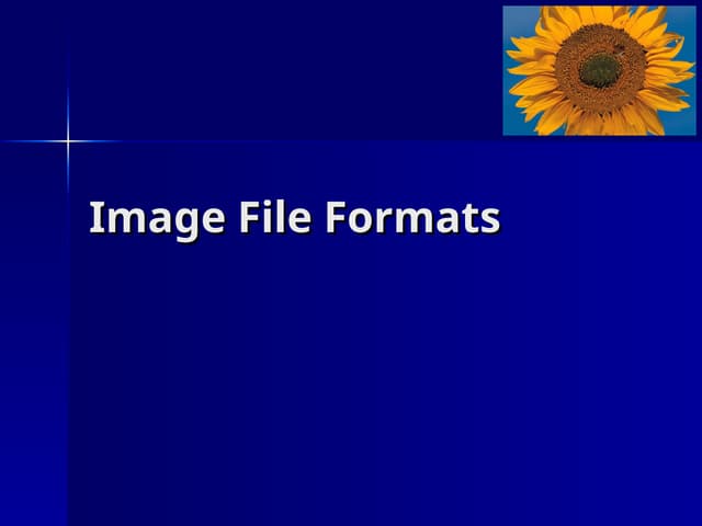 Imagefileformats for software engineers.ppt