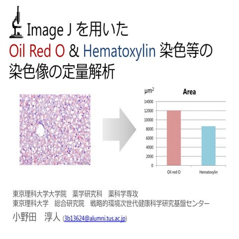 Image J を用いた組織像の定量解析 | PDF