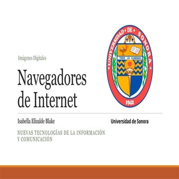 ¿Qué Son Los Navegadores del Internet?
