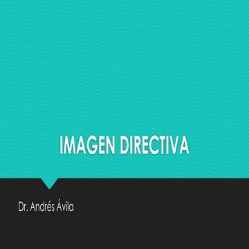 imagen directivas para la carrera de administracion | PPTX