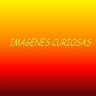 Imagenes curiosas enamorados