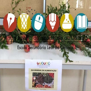 Imagens dia mundial da alimentação