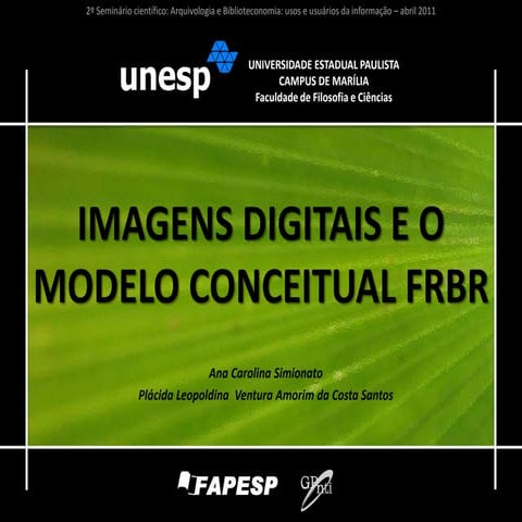 Imagens digitais e o modelo conceitual FRBR