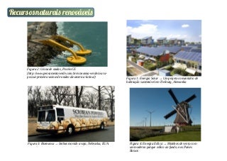 Imagens recursos naturais