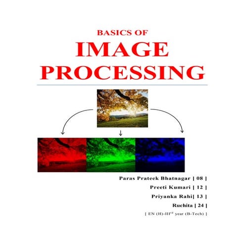 Basics of Image processing | PDF
