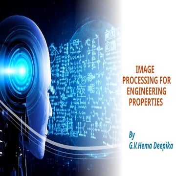 Image Processing - 17.09.2024.pptx of food