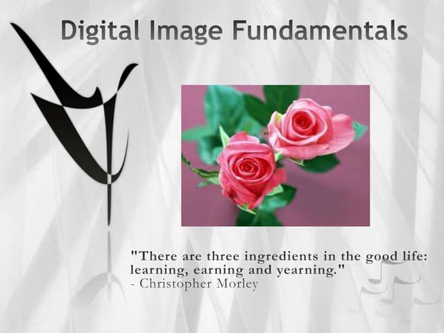 Image processing