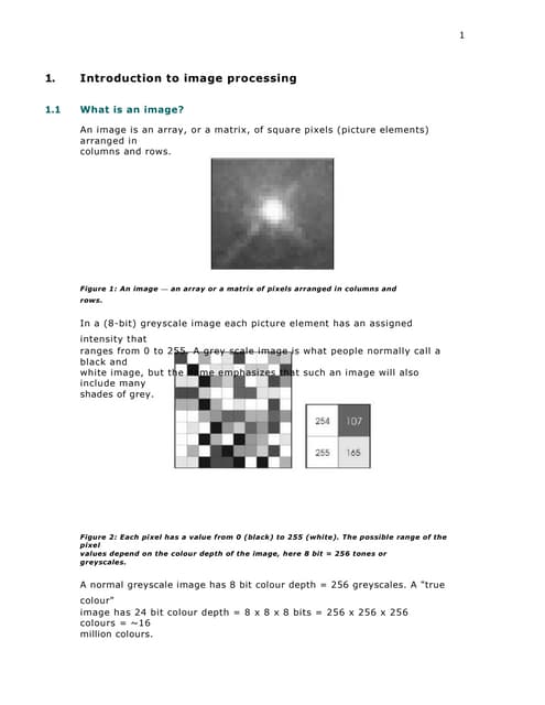 Image processing report