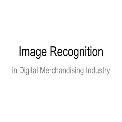 Image Recognition in Digital Merchandising Industry