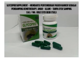 0812 1720 3830 (Tsel) Obat Kanker Lidah, Glycopro Supplement 0812 1720 3830 (Tsel) Obat Kanker Lidah, Glycopro Supplement