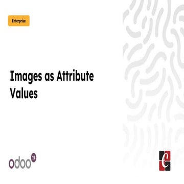 Images as attribute values in the Odoo 17