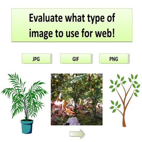 Images For Web Use