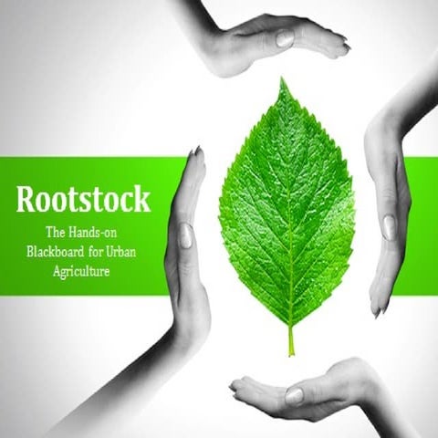 Rootstock Pitch Deck (v2:Images)