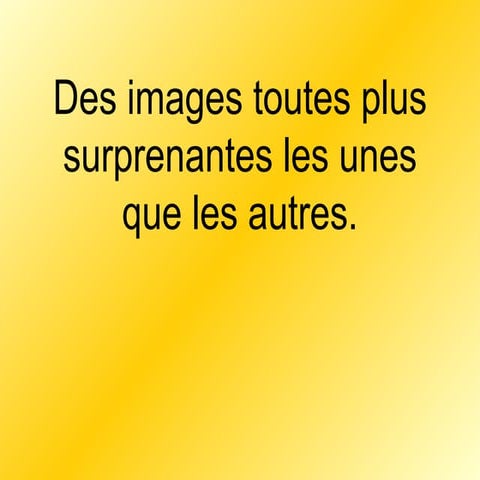 Imagessurprenantes