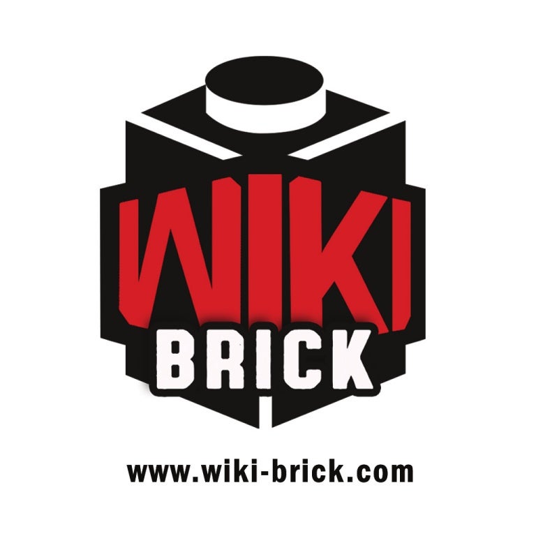 lepin bricks website