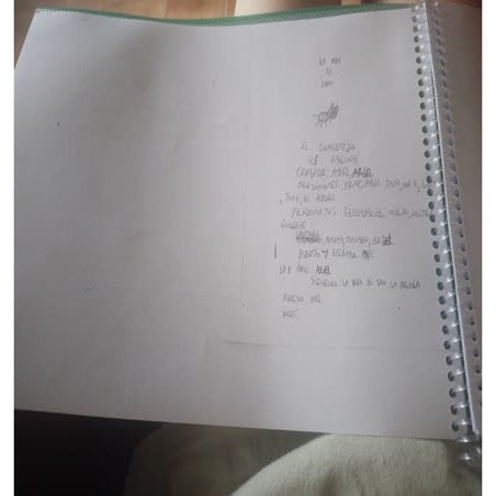 La vida de sam 1:El comienzo (de homenaje a mi gato)