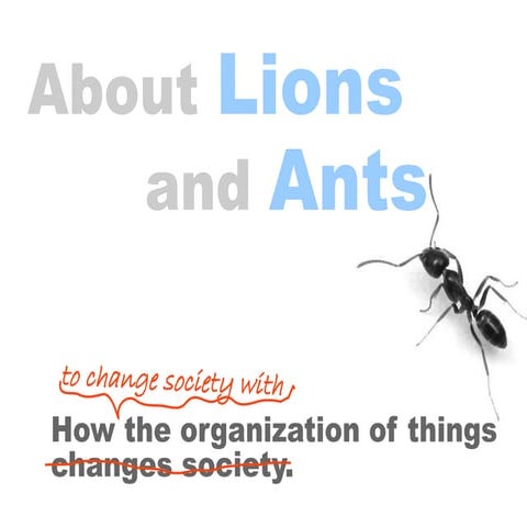 About Lions and Ants (Version 2)