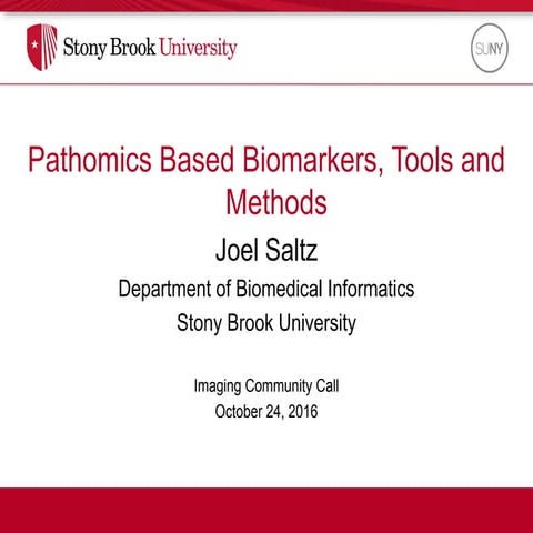 Pathomics Based Biomarkers, Tools, and Methods