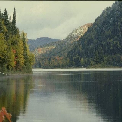 Thoracic Imaging in critically ill patients