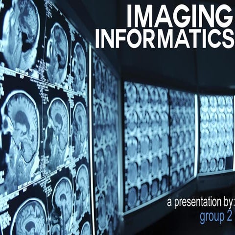 Imaging Informatics (LIS 140)