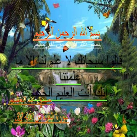 Prof Soha Talaat  Cairo university :obstetric US 