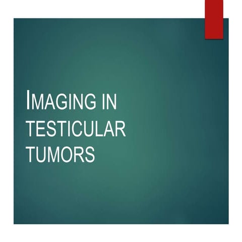 Imaging in testicular tumor