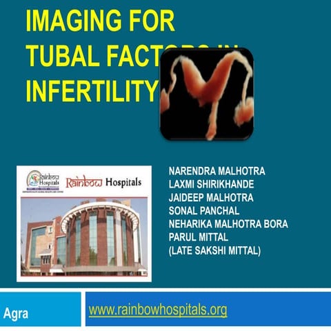 Imaging in  tubal factors in infertility.