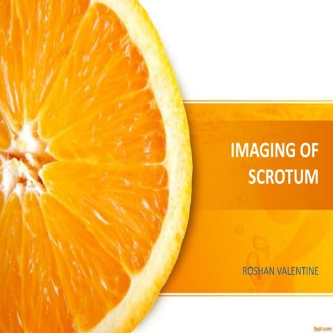 Imaging of the scrotum